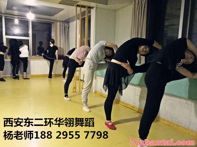 西安民族舞老师专业培训民族舞证书培训考试-图4