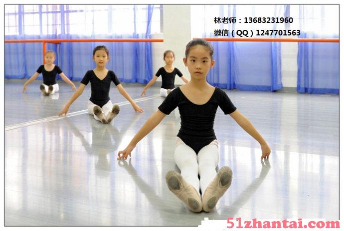 北京磁器口学芭蕾舞最好的的方式是哪里-图1