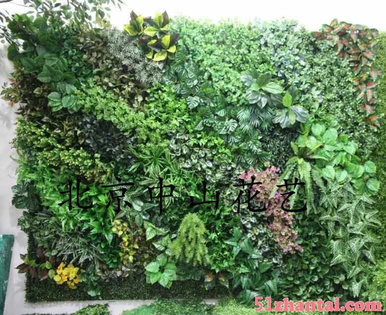 北京哪家绿植墙价格便宜-图3