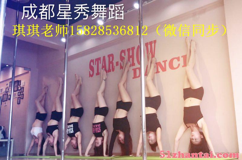 青白江钢管舞0基础 青白江钢管舞教练培训 星秀舞蹈-图1