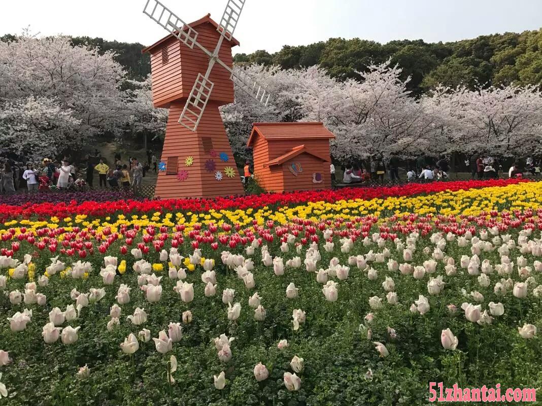 武汉春天活动设备荷兰风车展览租赁-图4