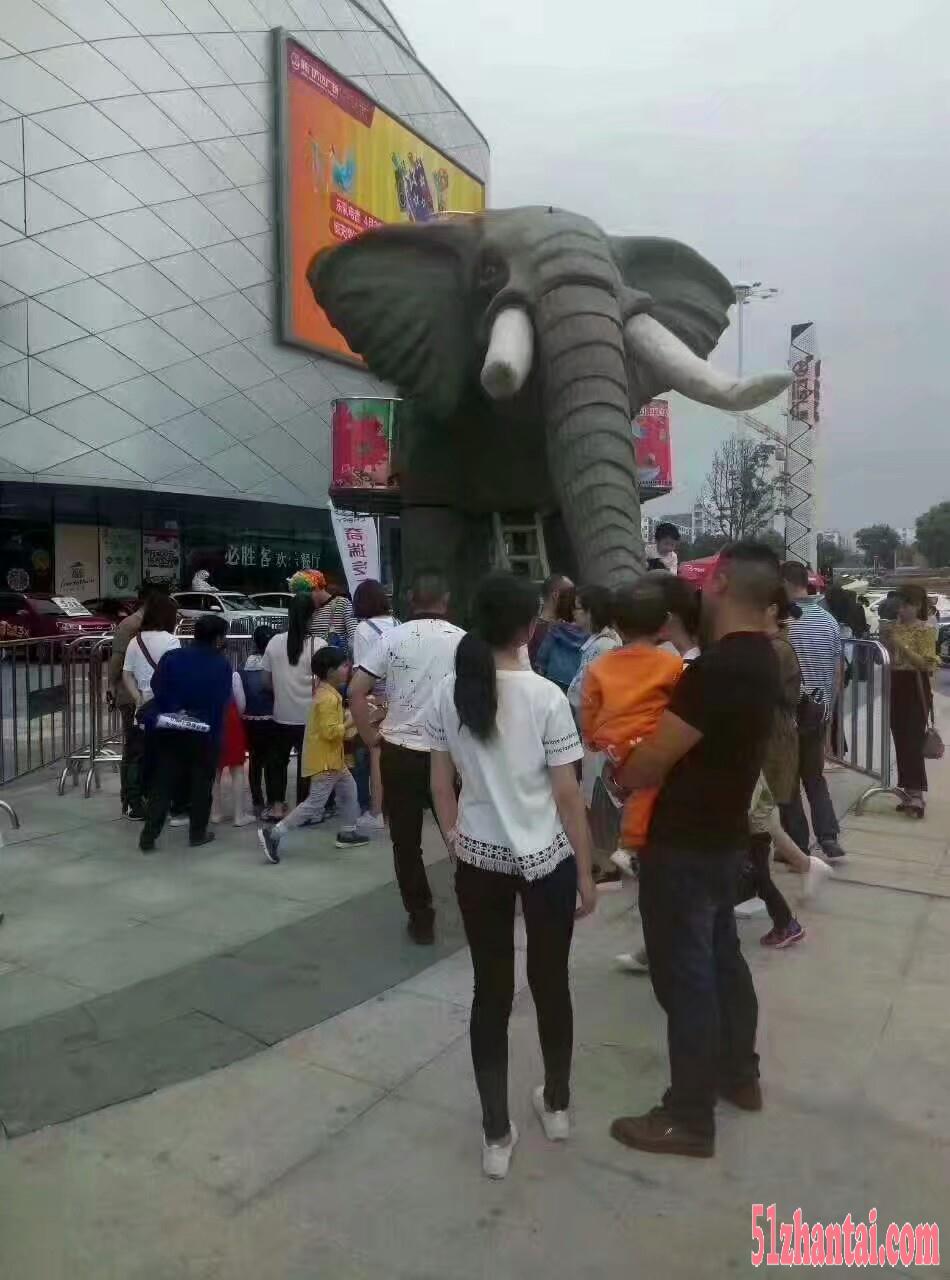 武汉机械大象出租机械大象租赁-图1