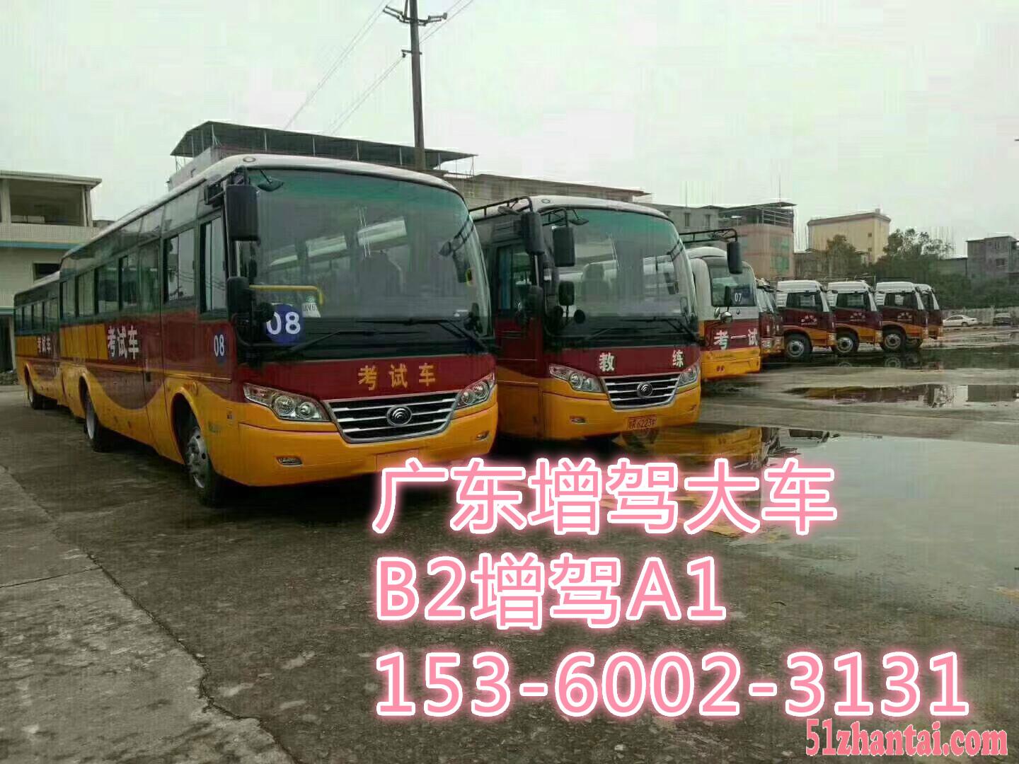 广东增驾珠海B2增驾A1大客车-图4