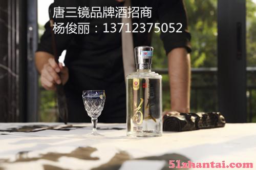 广东东莞唐三镜真全粮酿白酒设备价格-图1