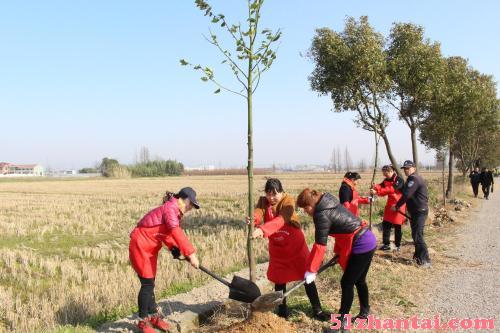 上海植树场地推荐 小学生植树活动好去处 趣味游戏-图3