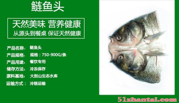 安徽三珍食品 冷冻新鲜鲢鱼头 鱼身鱼尾 花鲢白鲢-图1