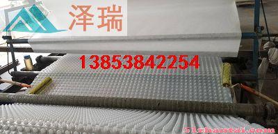 黑龙江市2公分3公分车库排水板蓄排水板厂家-图1