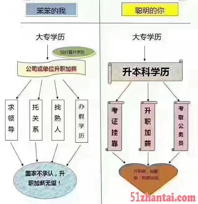 正规学历提升成考网络教育火爆招生中来华文教育-图1