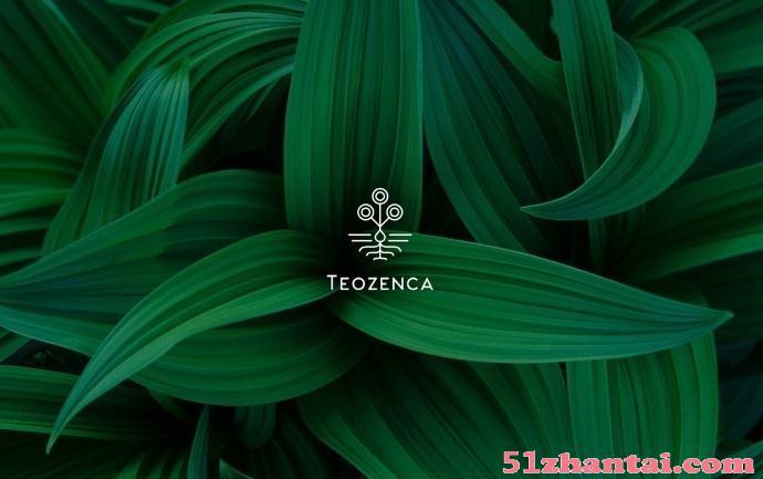 Teozenca品牌视觉形象设计-图1