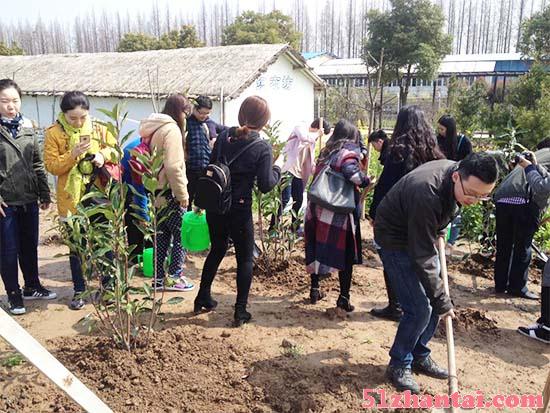 上海植树活动的好去处长兴岛桔园农庄植树拓展活动-图1
