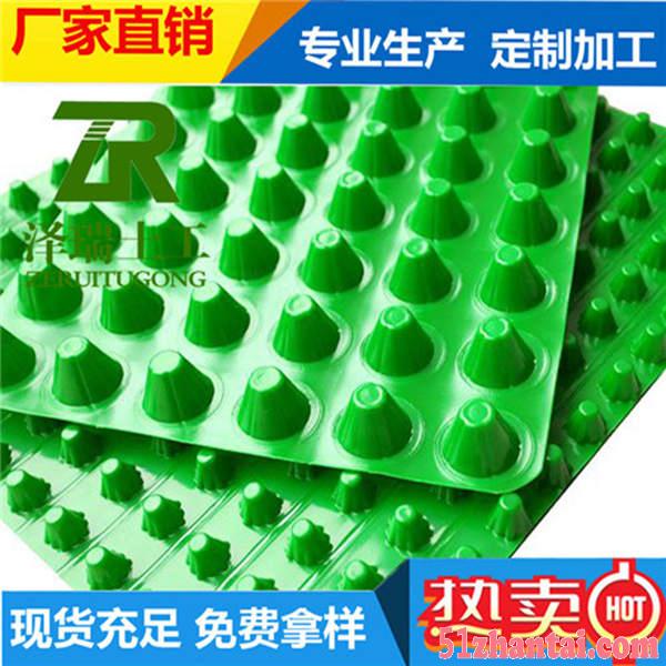 郑州2公分塑料疏水板/3公分排水板-图1