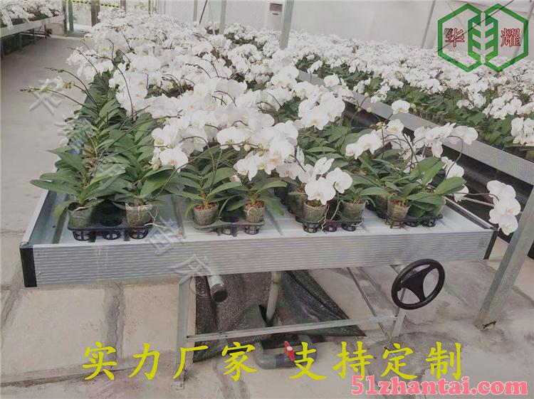 温室花卉种植使用潮汐苗床优点多多-图2