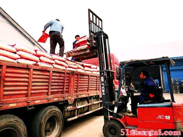 郑州搬运工装卸工电话专业卸货装车人力搬运-图2