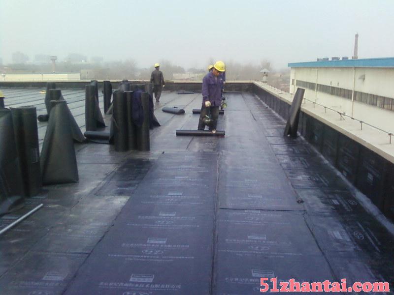 红桥区屋顶铺油毡 工程防水 防水补漏-图1