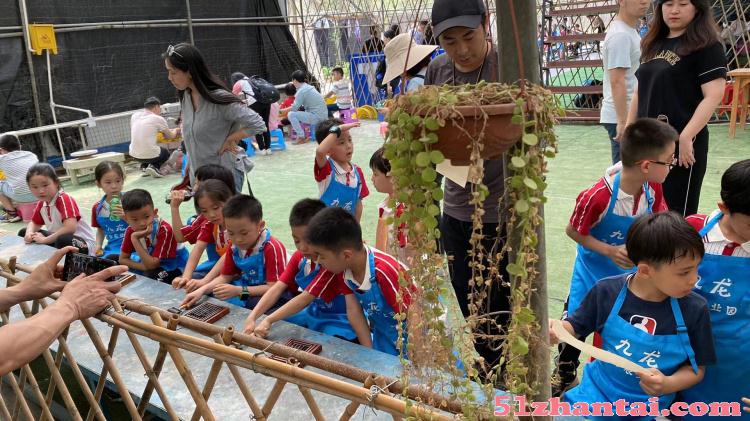 六一儿童节可以组织孩子们一起来九龙生态园游玩啦-图2