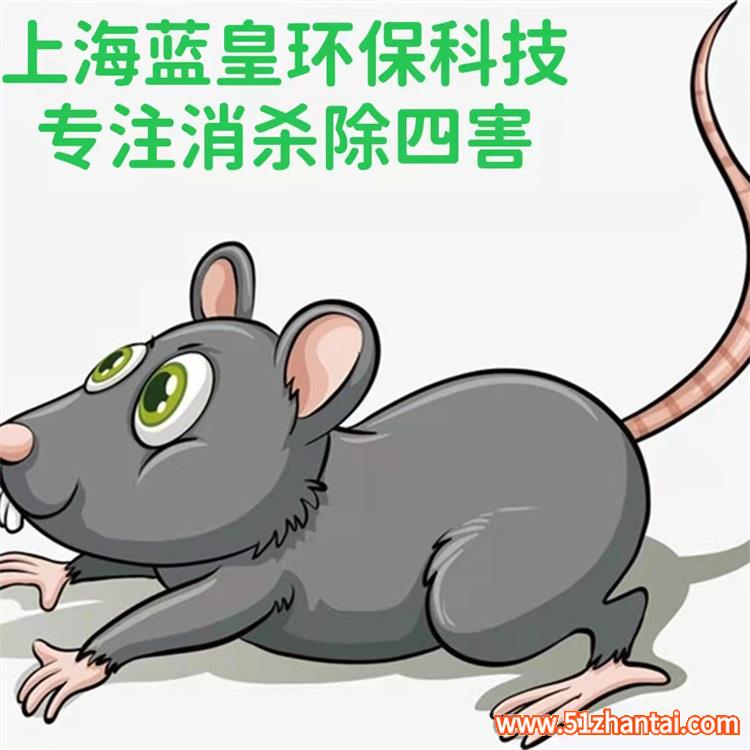 上海杀虫除蟑螂灭白蚁工厂消杀消毒除鼠害-图1