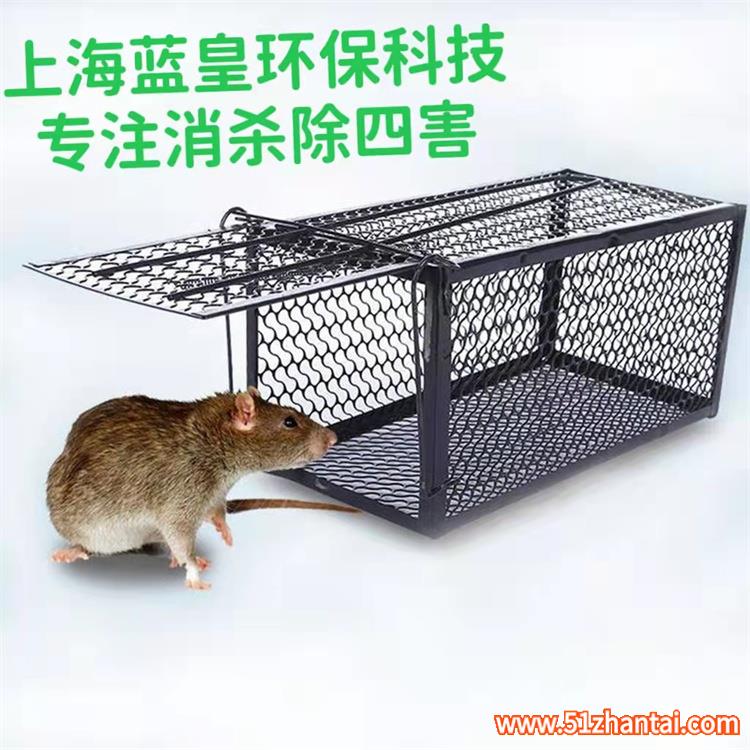 上海杀虫除蟑螂灭白蚁工厂消杀消毒除鼠害-图4