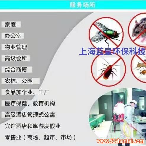 上海快速上门除蟑螂杀虫捕鼠公司-图1