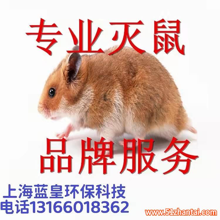 上海快速上门除蟑螂杀虫捕鼠公司-图2